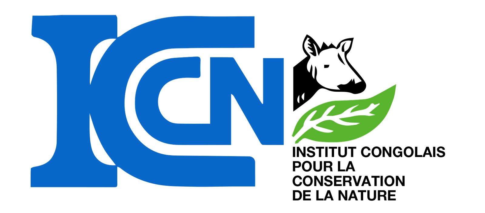 Logo Réserve Naturelle d'Itombwe (RNI)