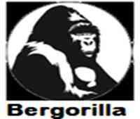 Bergorilla